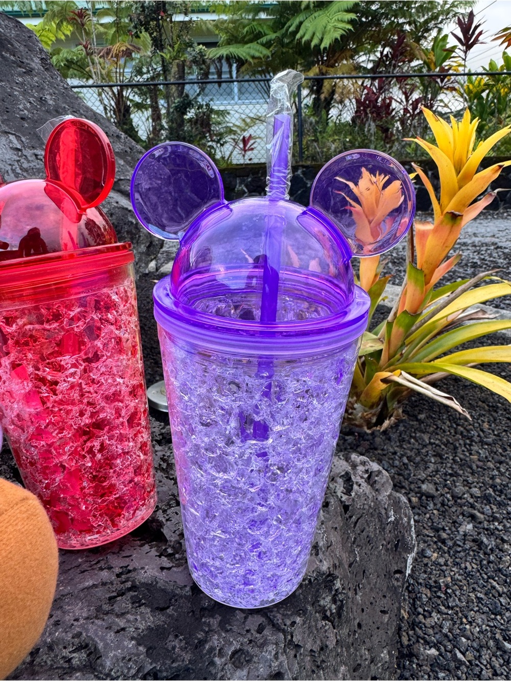 Disneyland Resort Mickey Mouse Plush & Mickey Ear Tumblers Bundle - Picture 7 of 9